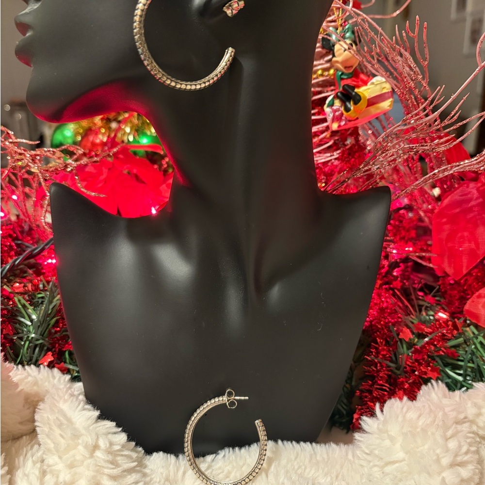 Elegant Sterling Silver Hoop Earrings